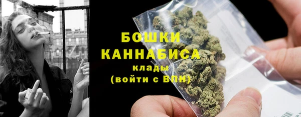бошки Алексин
