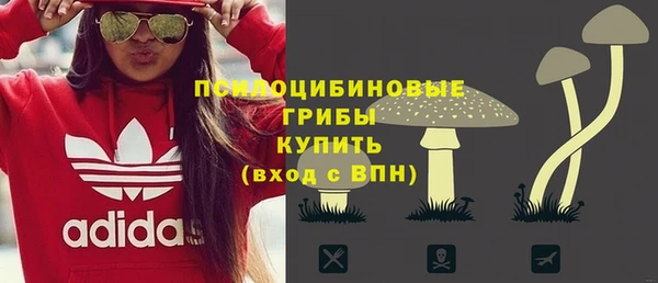 бошки Алексин