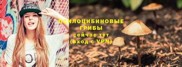бошки Алексин